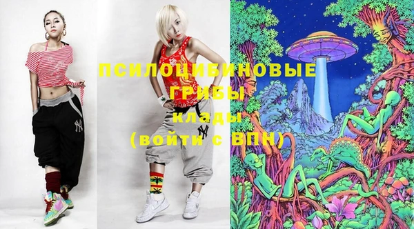 скорость Няндома